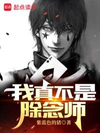 猎人:我真不是除念师