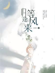 归途,等风来