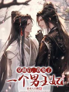 穿越后,我娶了一个男王妃